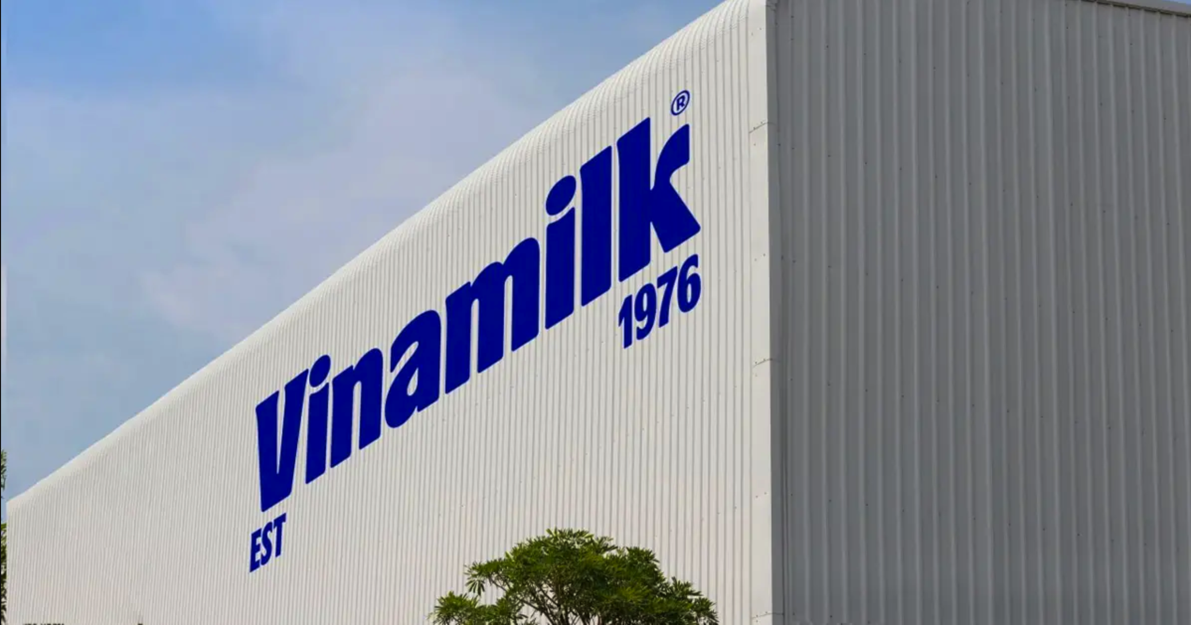 VNM – Analyst Meeting: Cập nhật KQKD Q2/2026