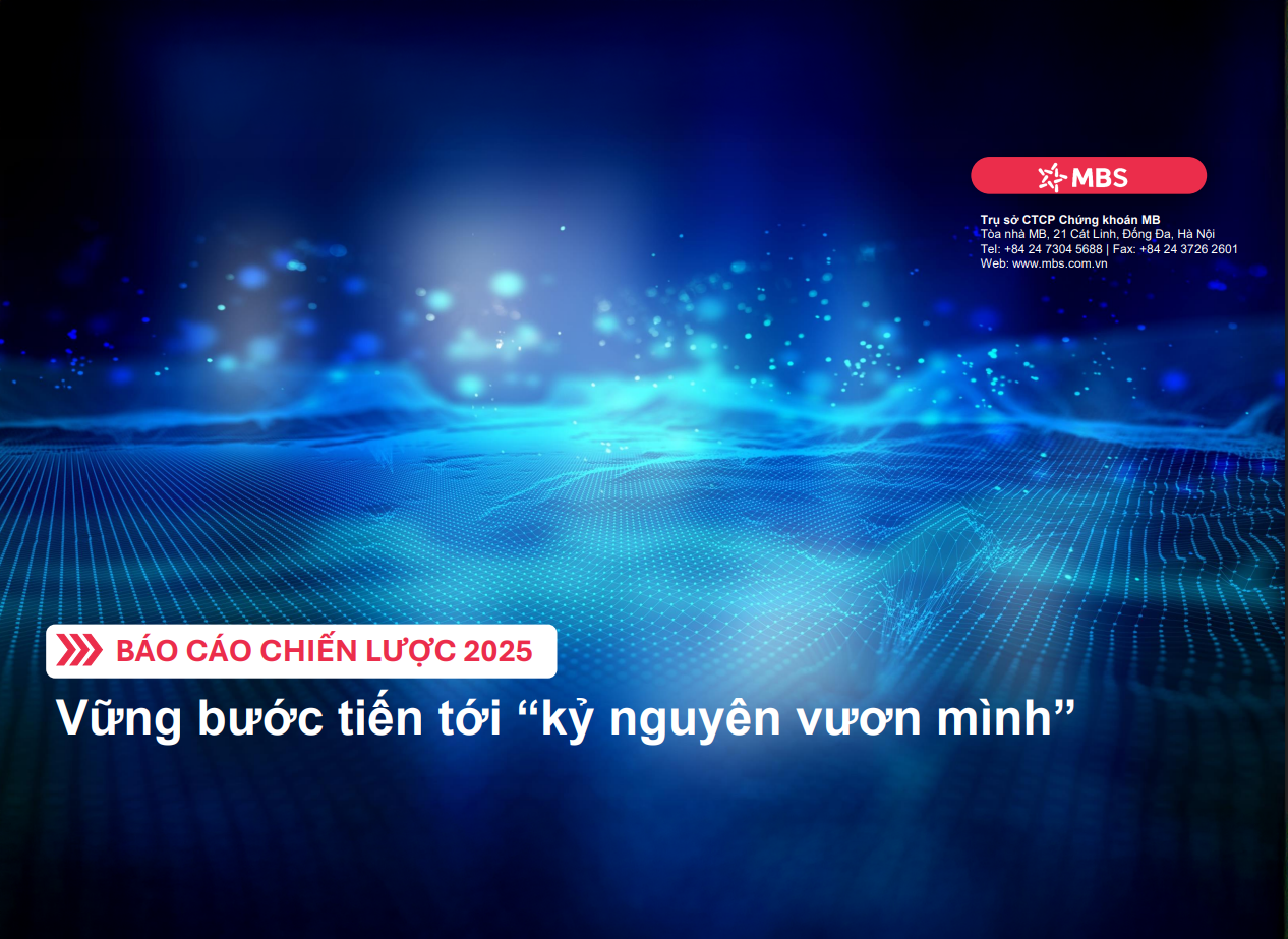Báo cáo chiến lược 2025 – Vững bước tiến tới “kỷ nguyên vươn mình”