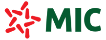 Logo Mic 2024 1